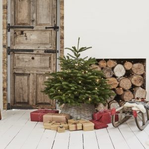 Christmas Tree 4ft-5ft