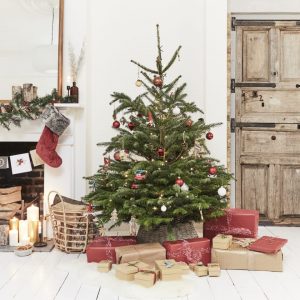 Christmas Tree 5ft-6ft