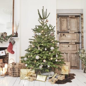 Christmas Tree 6ft-7ft
