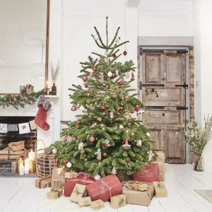 Christmas Tree 8ft-10ft